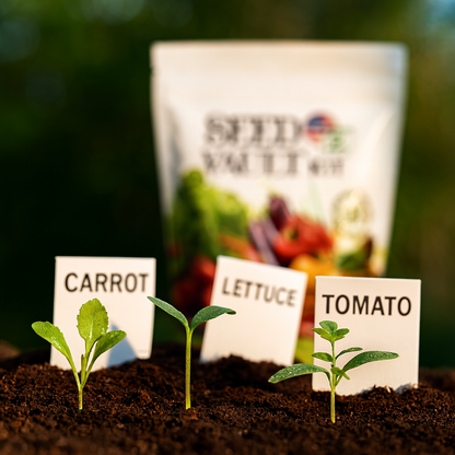 Garden's Pulse Seed Vault Kit